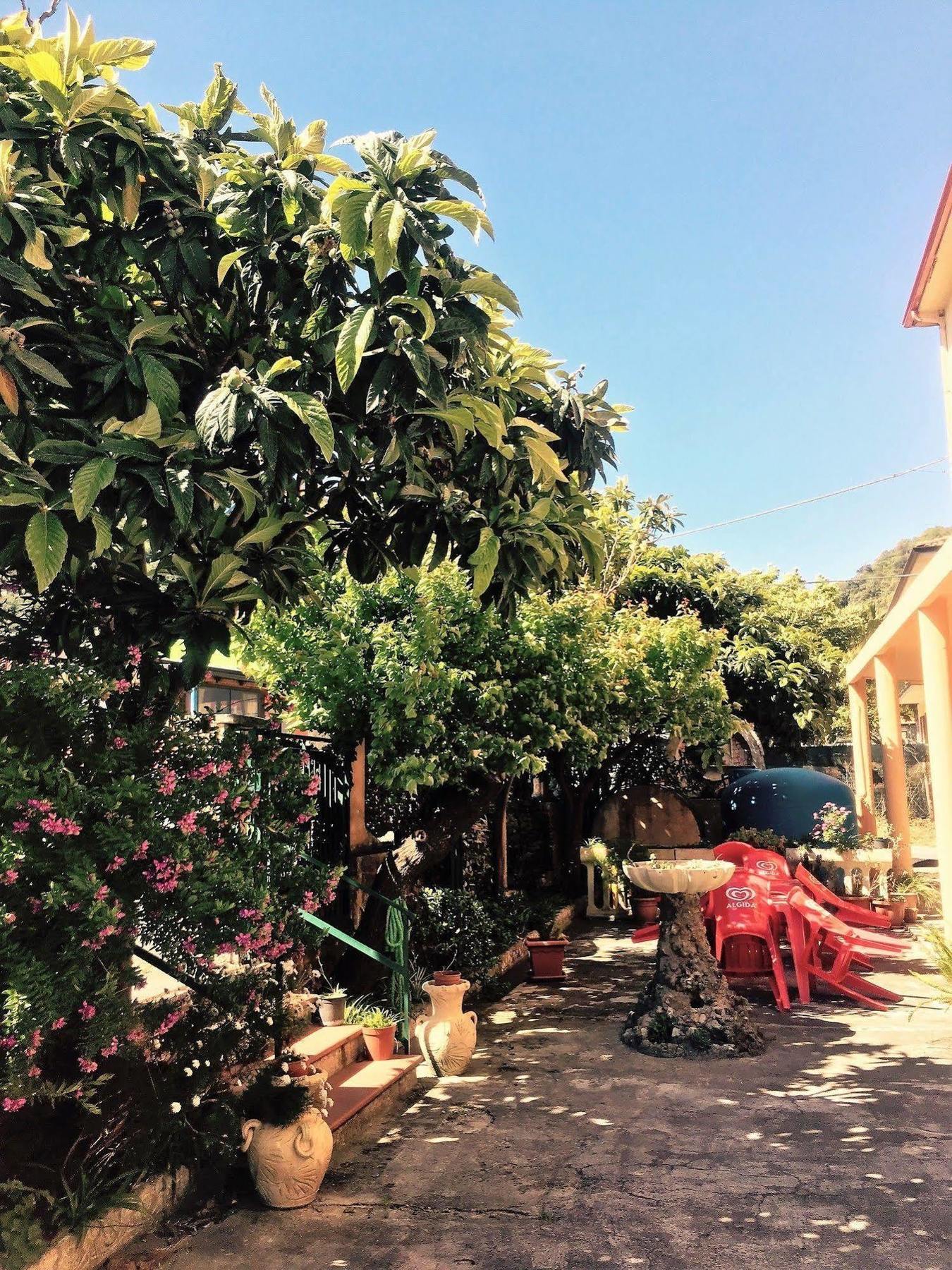 Hotel Ristorante La Mimosa Lamezia Terme Bagian luar foto
